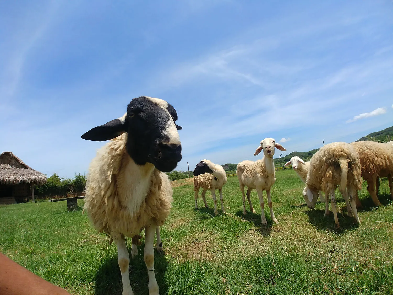 Sống ảo tung chảo tại Dong Soi Farm Quảng Bình