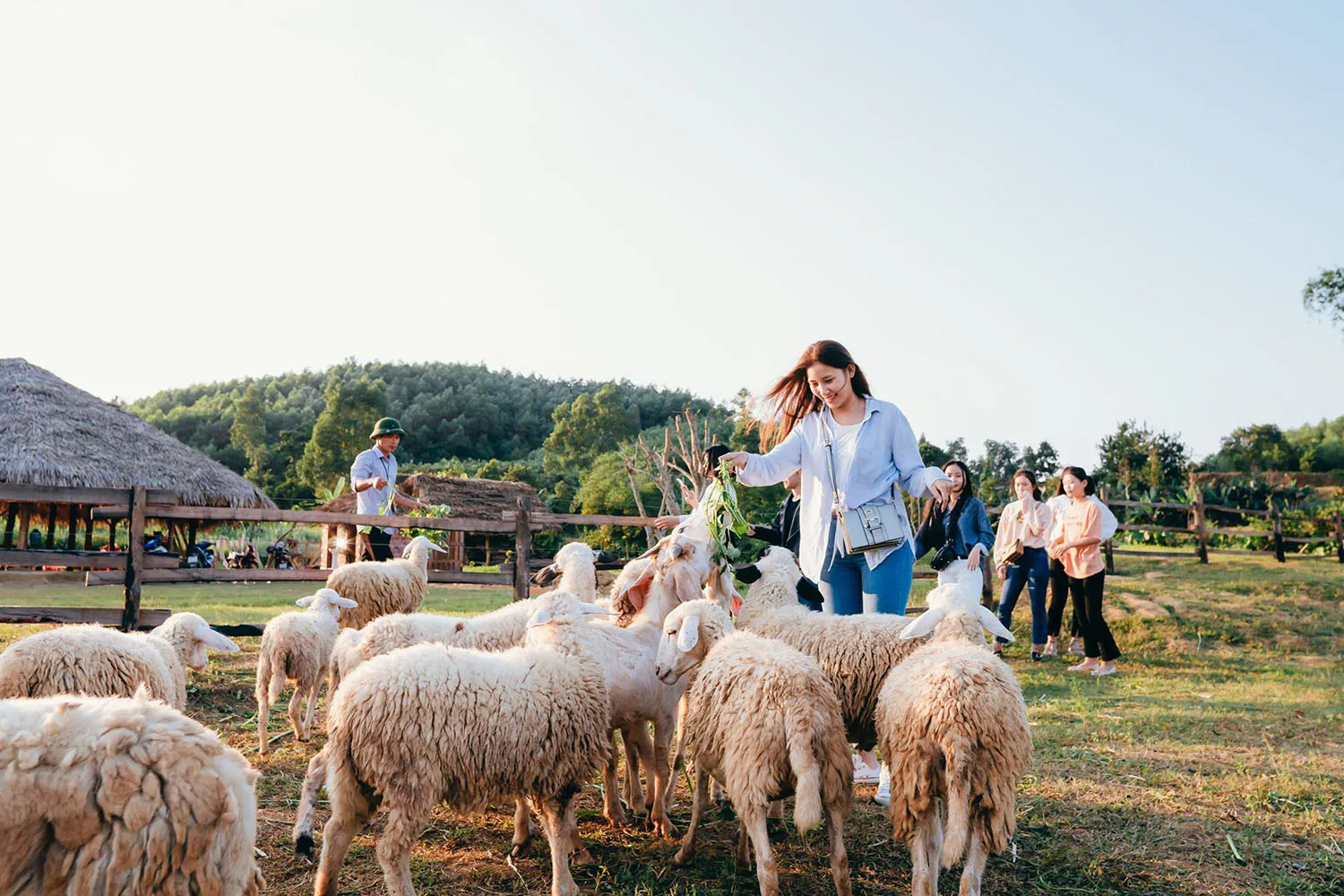 Sống ảo tung chảo tại Dong Soi Farm Quảng Bình