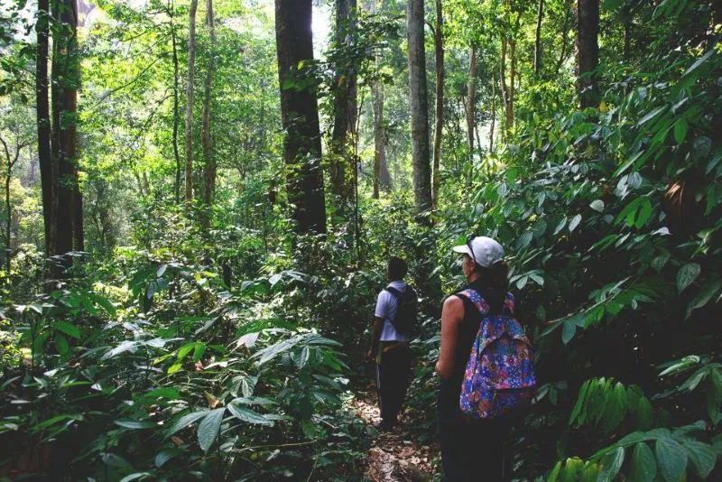 Sumatra, hòn đảo lớn thứ sáu thế giới với văn hóa đặc sắc