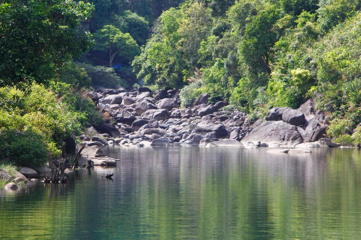 Suối Tiên – Vẻ đẹp hoang sơ giữa chốn rừng thiên