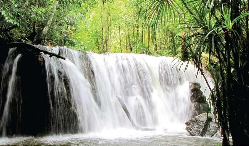 Suối Tranh Phú Quốc, tọa độ check-in đặc sắc của đảo ngọc