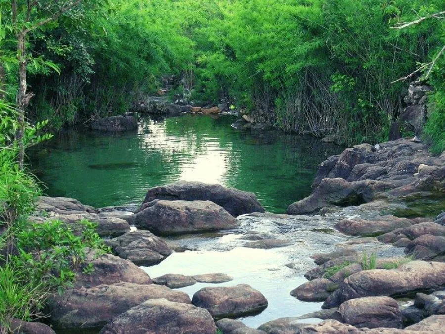 Suối Trúc Tây Ninh, địa điểm du lịch tự nhiên mới mẻ thu hút giới trẻ