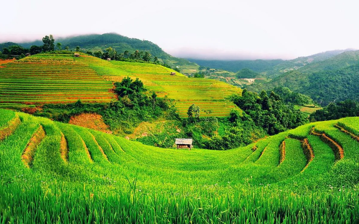 Tả Giàng Phình Sapa – Thung lũng của những người Mông trăm tuổi