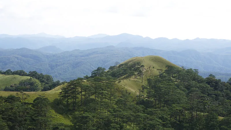 Tà Năng Phan Dũng, cung đường trekking vạn người mê