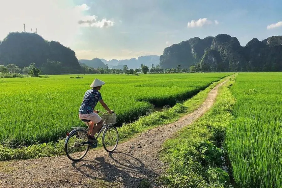 Tam Coc Dibi Villa, điểm dừng chân lý tưởng khi đến Ninh Bình