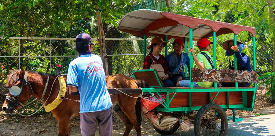 Tận hưởng 1 ngày du lịch sinh thái Bến Tre khám phá thiên nhiên trù phú