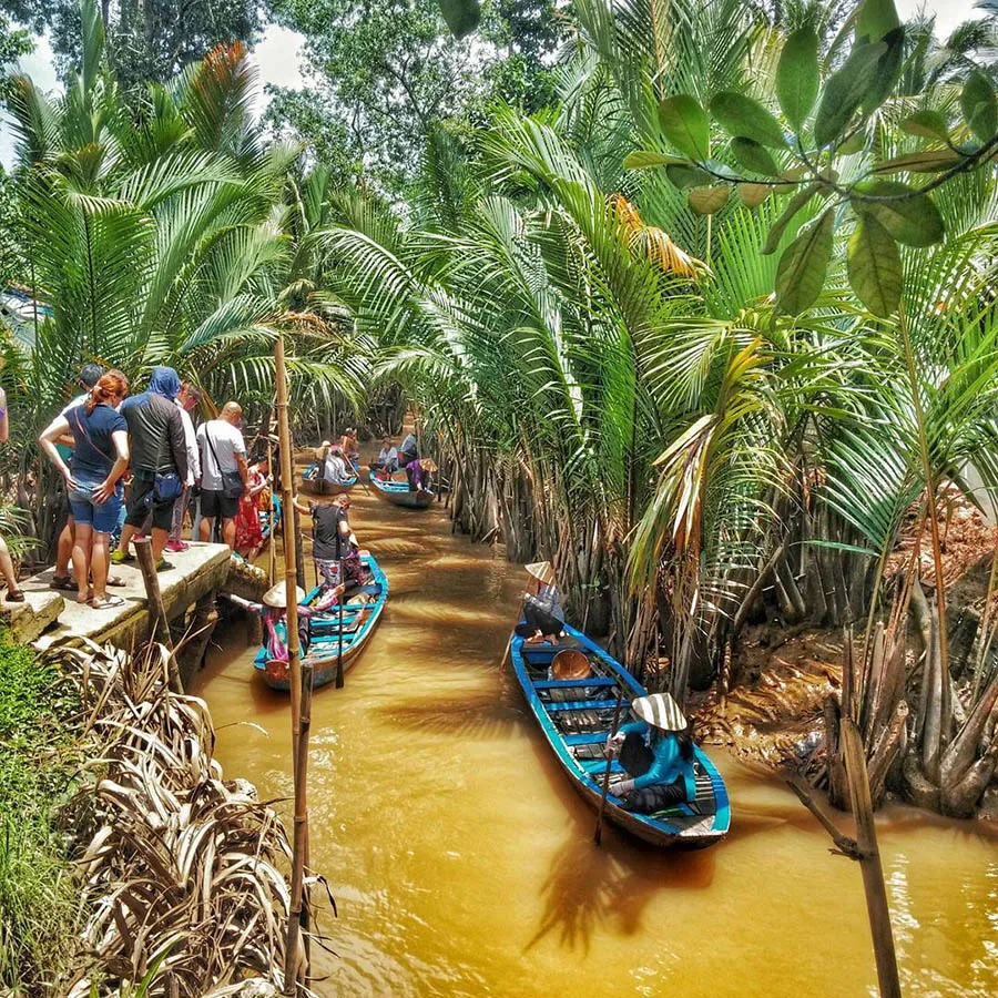 Tận hưởng 1 ngày du lịch sinh thái Bến Tre khám phá thiên nhiên trù phú