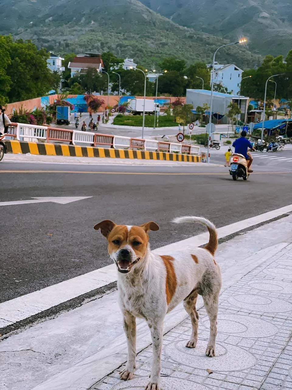 Thả hồn theo con dốc mộng mơ ở Nha Trang – Địa điểm check-in mới toanh qua bộ ảnh của Cường Quốc Phạm