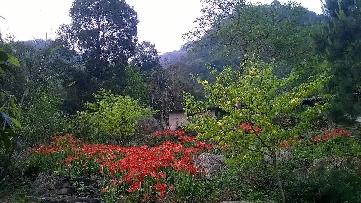 Tham quan chùa Hồ Thiên – Đông Triều cổ kính từ thời Trần