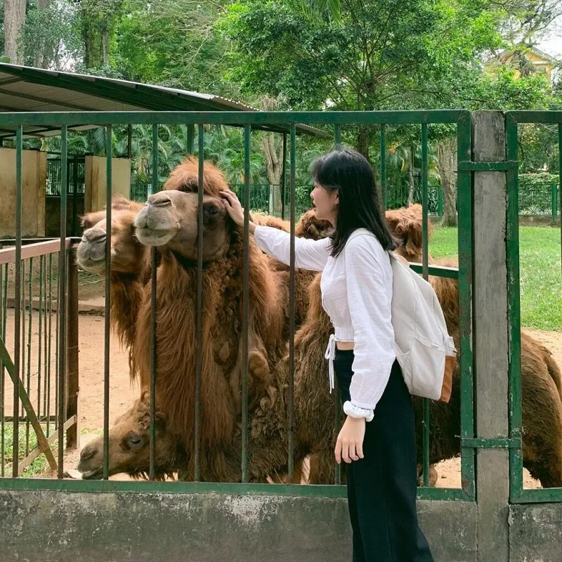 Thăm Thảo Cầm Viên Sài Gòn, sở thú tuổi thơ của bao thế hệ