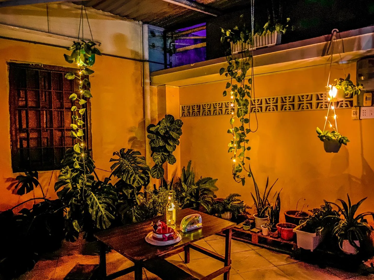 The 1995 homestay, ốc đảo tươi mới tại Phan Rang Tháp Chàm