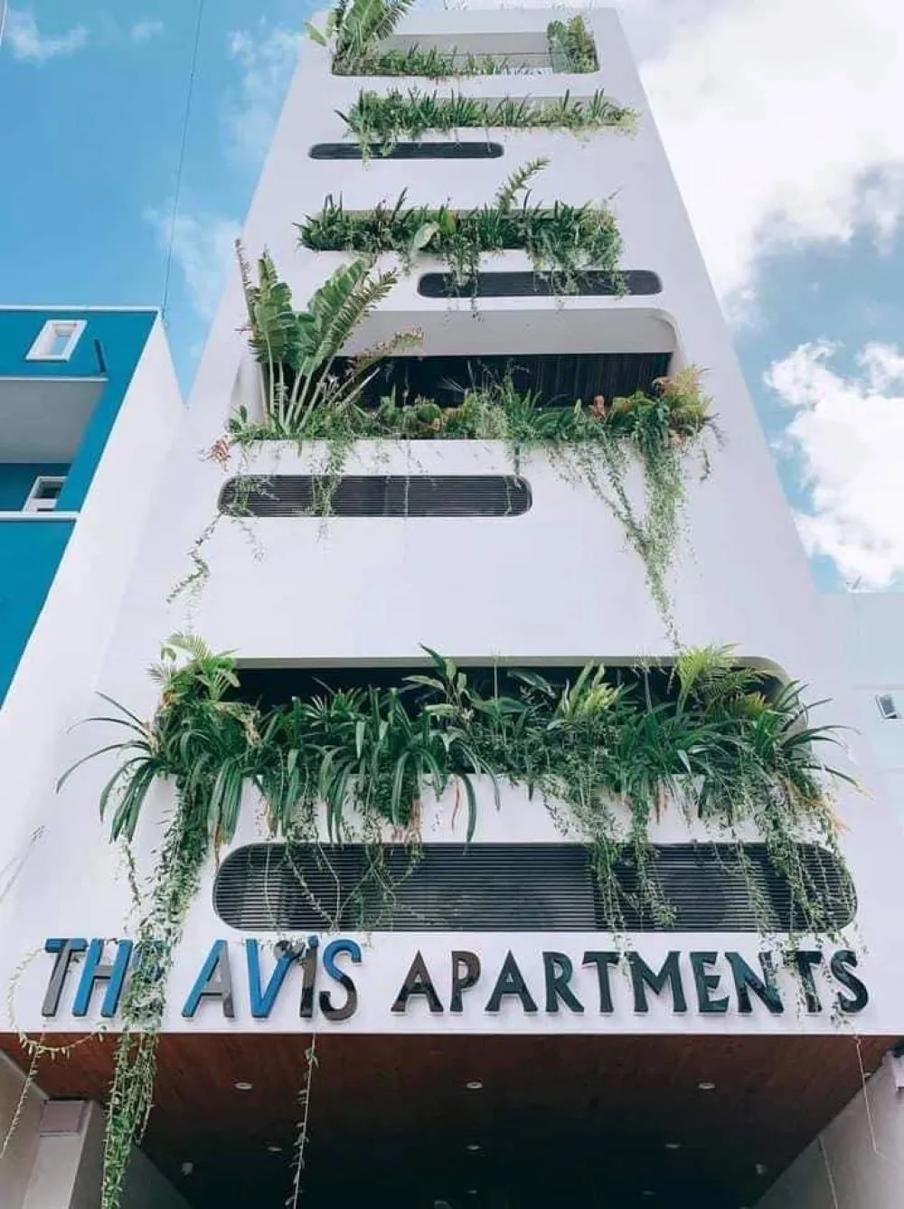 THE AVIS Apartment, GREATHOUSE, căn hộ trong mơ của bao người