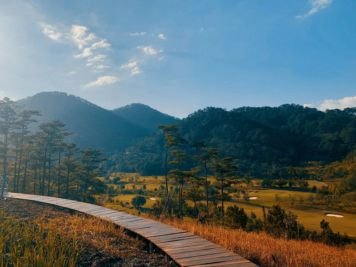 The Wilder Nest – Sự hoàn mỹ giữa núi đồi bao la