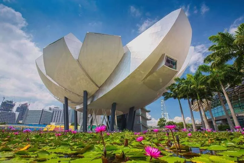 Thưởng lãm Artscience Museum, không gian nghệ thuật nổi tiếng tại Singapore