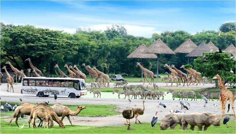 Thưởng lãm Safari World Bangkok tận hưởng cảm giác về miền hoang dã