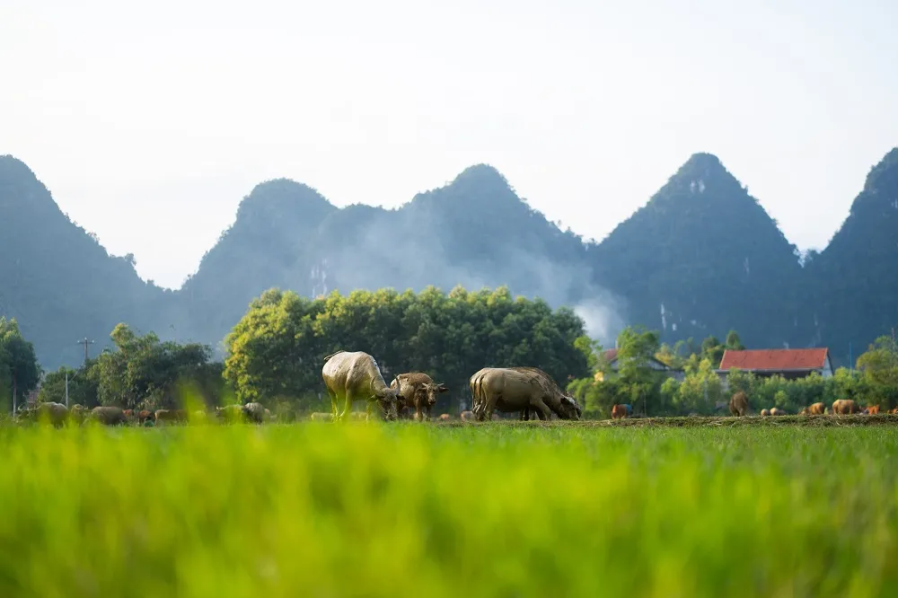 Thưởng ngoạn hoàng hôn mùa đông Tân Hoá Quảng Bình tuyệt đẹp