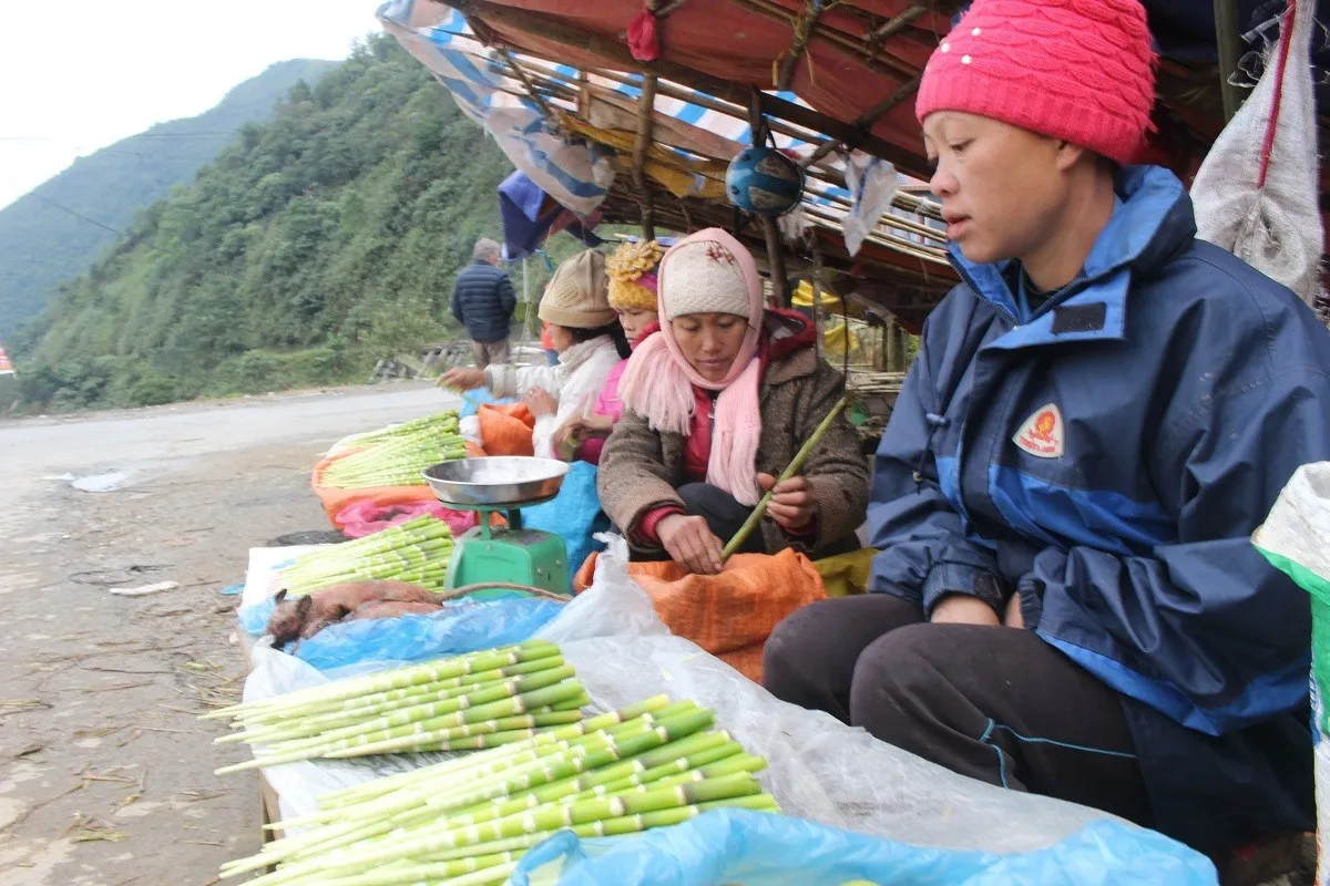 Thưởng thức đặc sản núi rừng Măng sặt của vùng đất Yên Bái