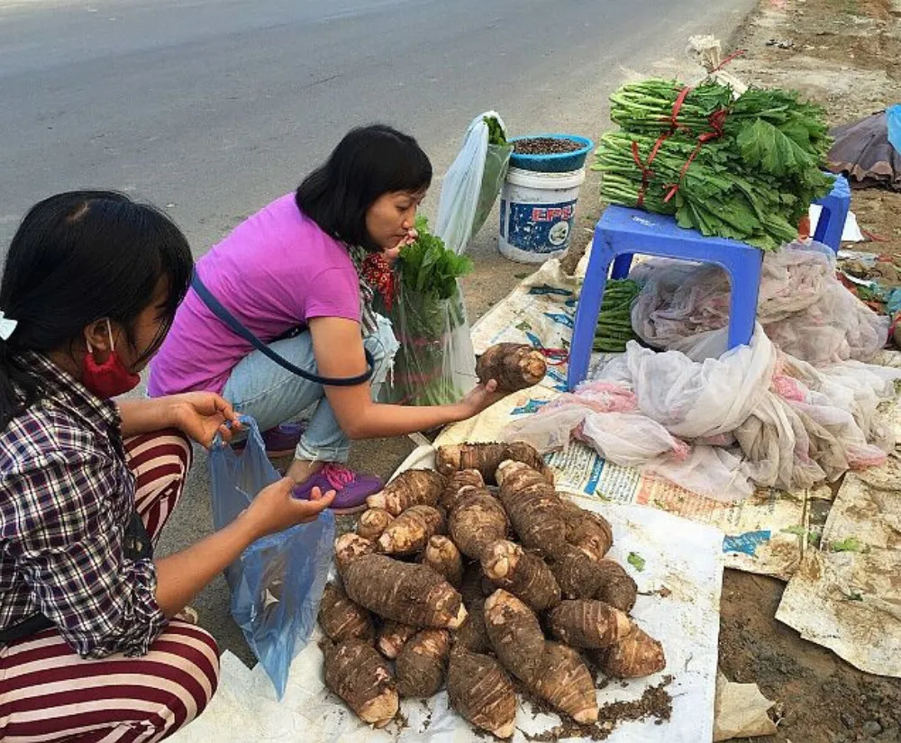 Thưởng thức khoai sọ Mán Mộc Châu ngọt lịm đốn tim bao người