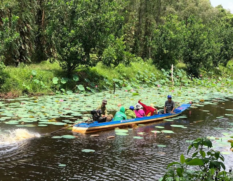 Tìm hiểu nét đặc trưng văn hóa sông nước Cà Mau cùng MIA.vn