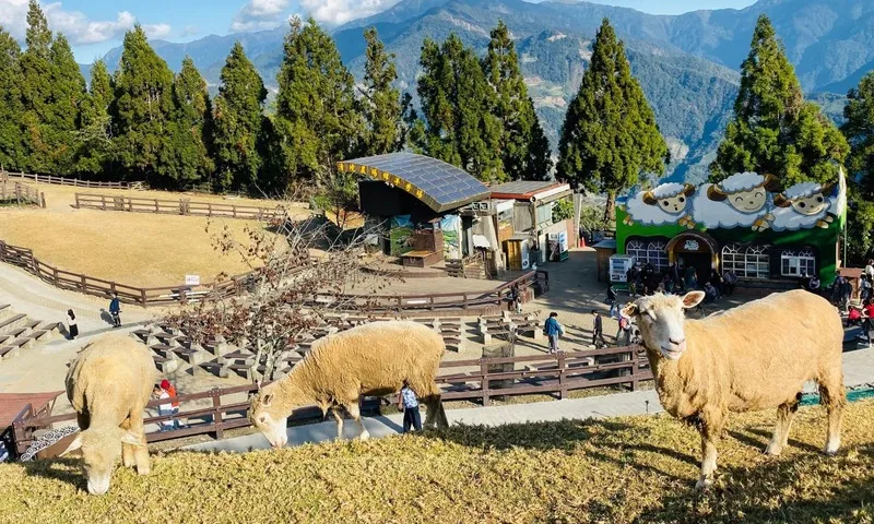 Tìm về Qingjing Farm, điểm đến bình yên nơi núi Nam Đầu