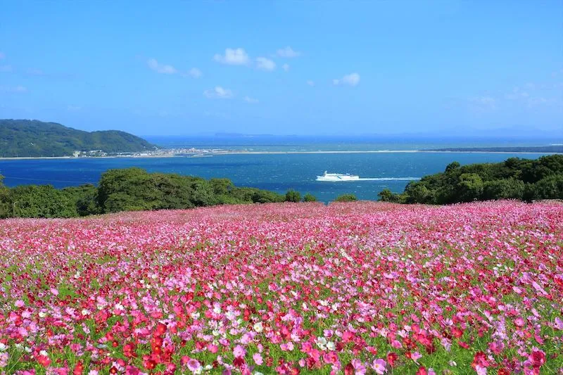 Top 12 điều nhất định phải làm ở Fukuoka, tín đồ xê dịch đừng bỏ qua