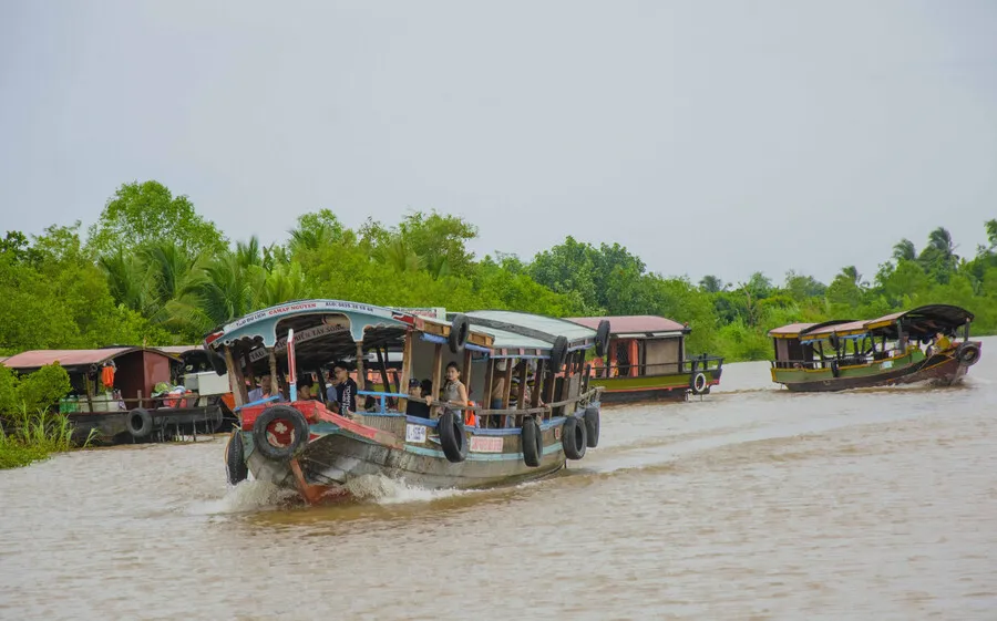 Top 2 cù lao Vĩnh Long mang vẻ đẹp đậm chất miệt vườn Nam Bộ