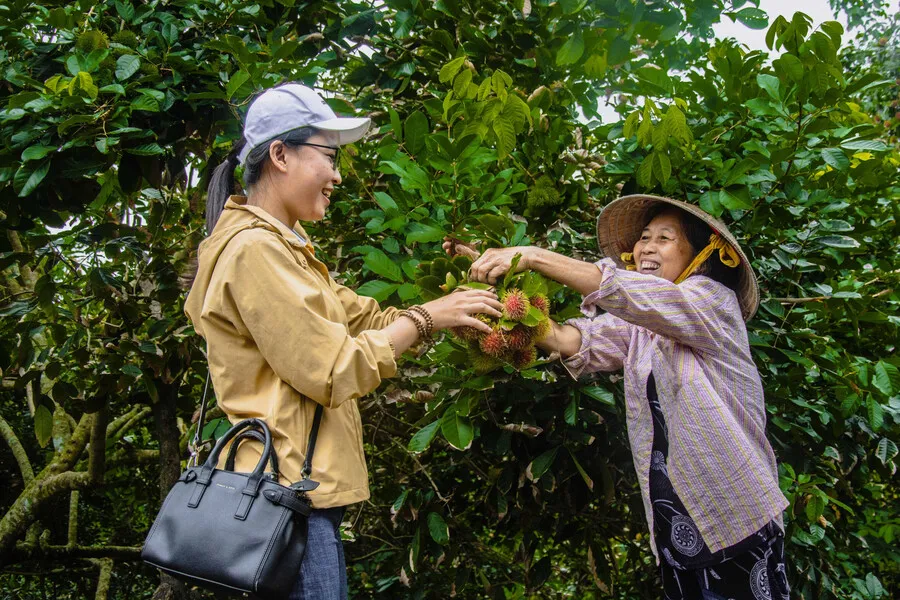 Top 2 cù lao Vĩnh Long mang vẻ đẹp đậm chất miệt vườn Nam Bộ