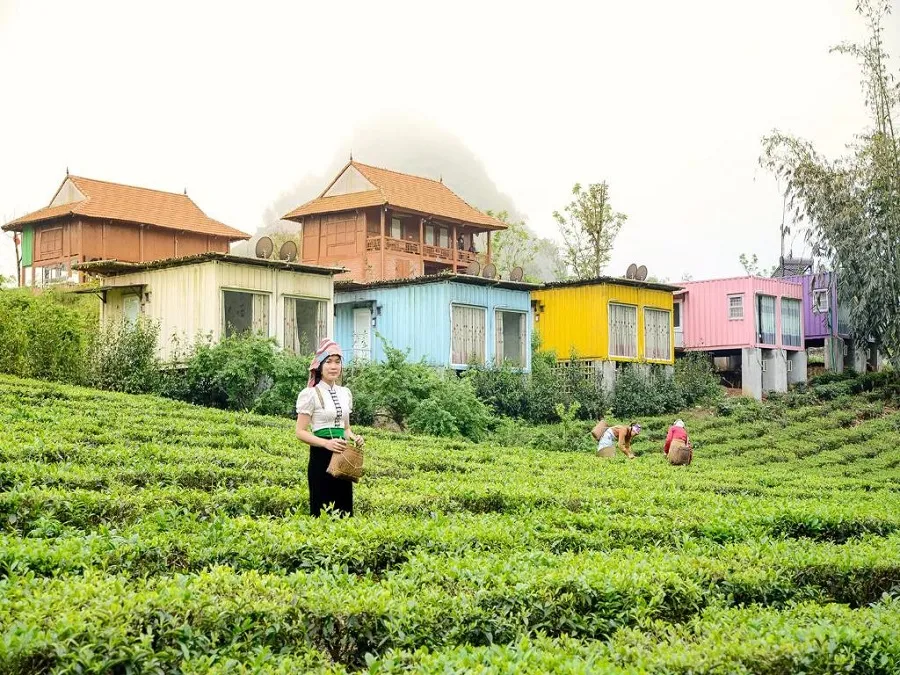 Top 4 resort Mộc Châu giá rẻ để nghỉ dưỡng không lo cháy túi