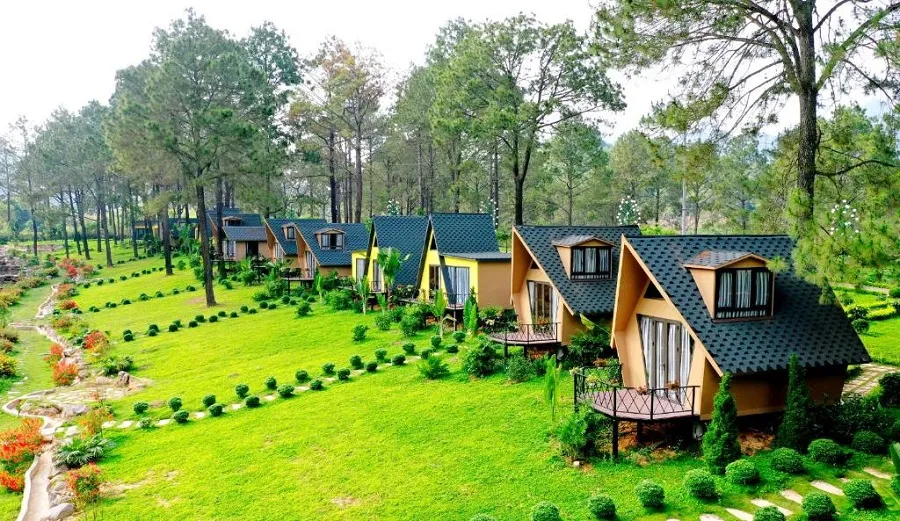 Top 4 resort Mộc Châu view đẹp say đắm lòng người