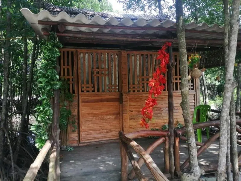 Top 5 homestay Cà Mau trên sông có phong cảnh hữu tình