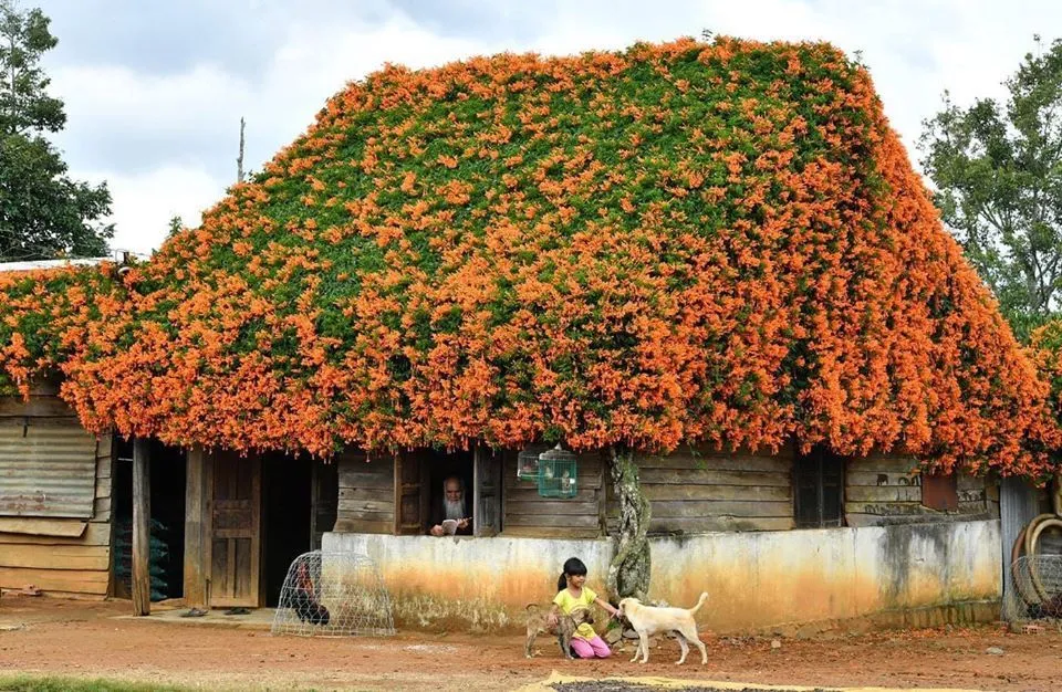 Top các điểm tham quan Bảo Lộc bạn không nên bỏ lỡ