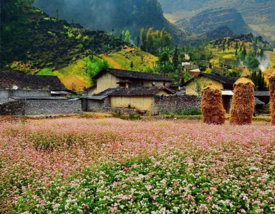 Top điểm du lịch Hà Giang được nhiều bạn trẻ ghé thăm