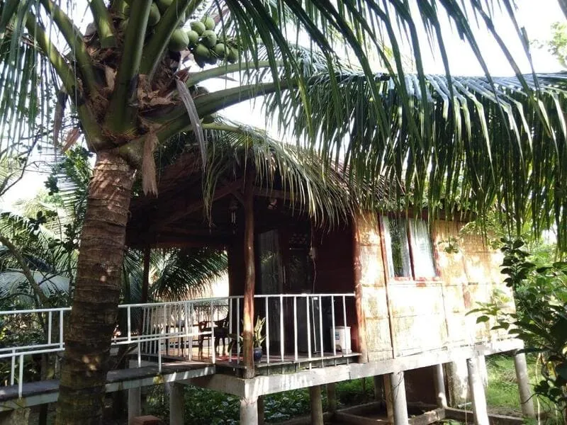 Top homestay Bến Tre với không gian sân vườn độc đáo