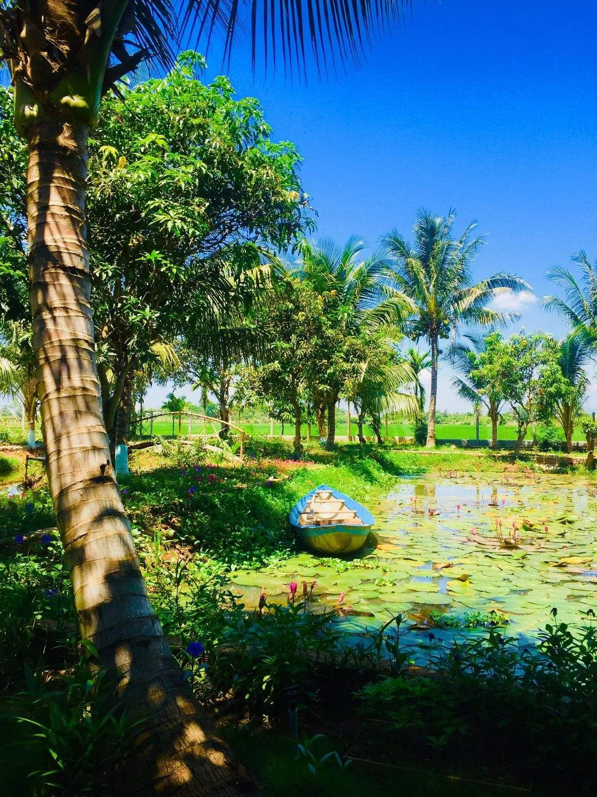 Top homestay Ninh Thuận Phan Rang đẹp, gần biển giá chỉ từ 300k