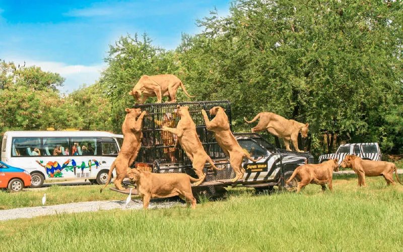 Tour Du lịch Thái Lan 5 ngày 4 đêm chi tiết nhất