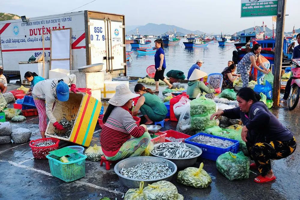 Tour khám phá Bình ba trong 1 ngày cực hấp dẫn