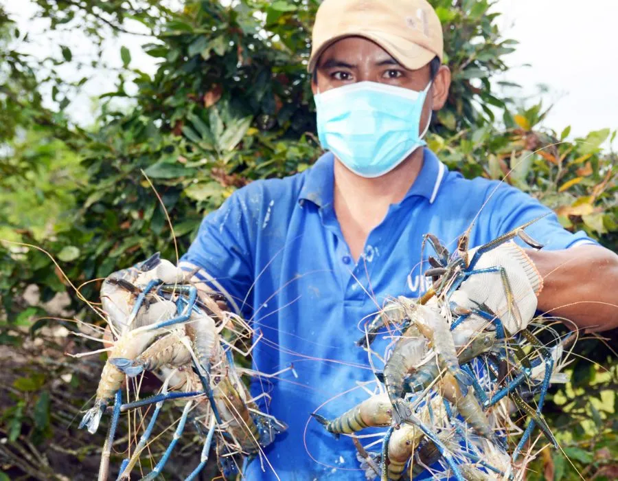 Trải nghiệm Làng nghề làm bánh phồng tôm Hàng Vịnh cùng MIA.vn