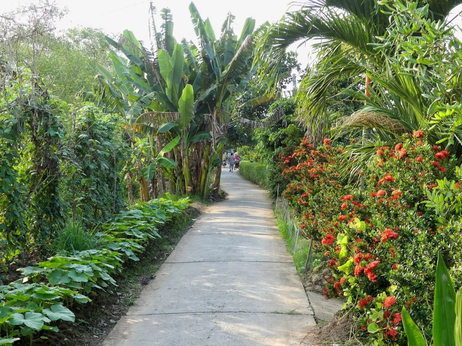 Trải nghiệm Lịch trình du lịch Tiền Giang 1 ngày, rong chơi quên lối về