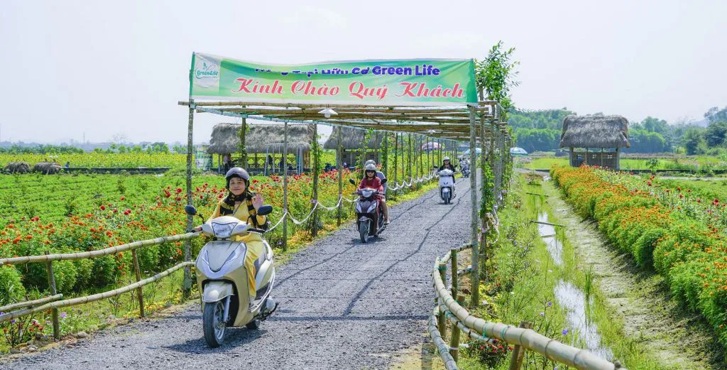 Trải nghiệm một ngày bình yên tại nông trại GREEN LIFE