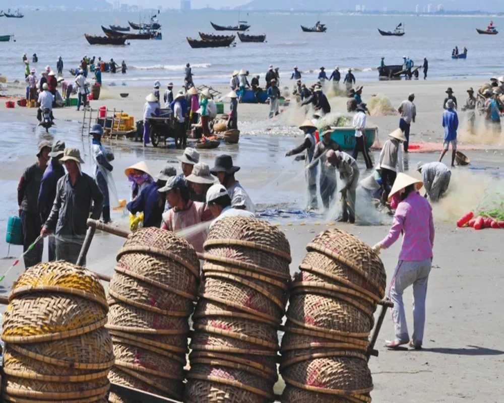 Trải nghiệm một ngày tại làng cá Long Hải Vũng Tàu