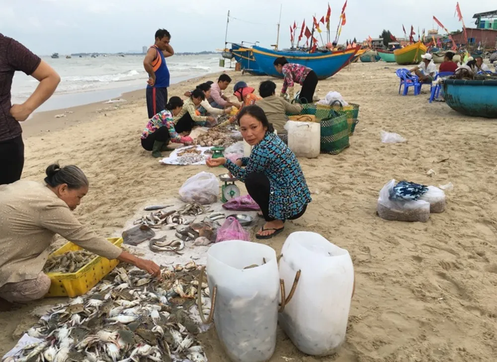 Trải nghiệm một ngày tại làng cá Long Hải Vũng Tàu