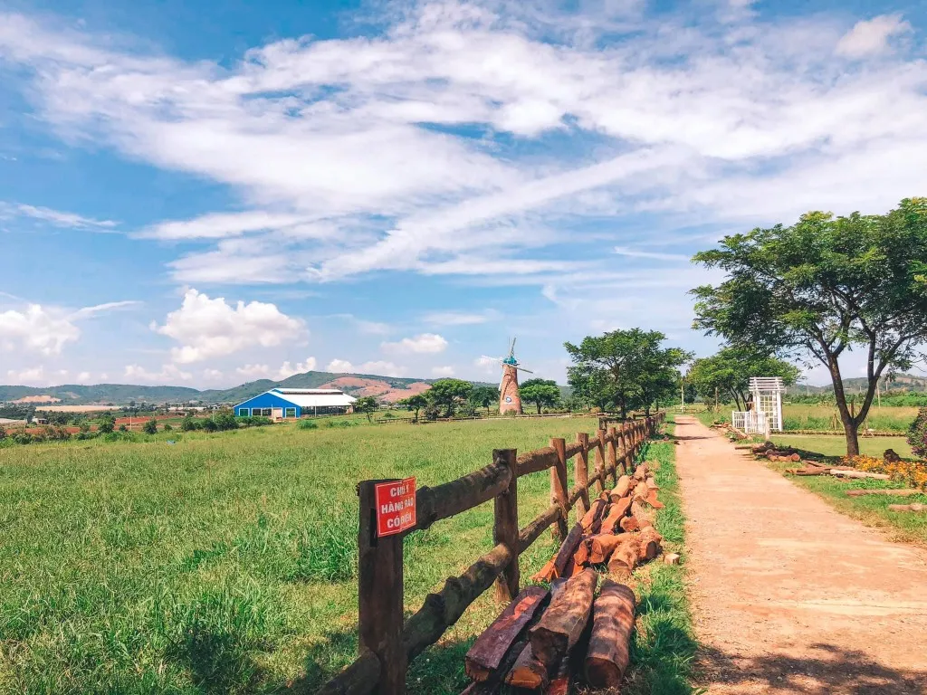 Trải nghiệm tại nông trại đạt chuẩn châu Âu Vinamilk Organic Milk Farm