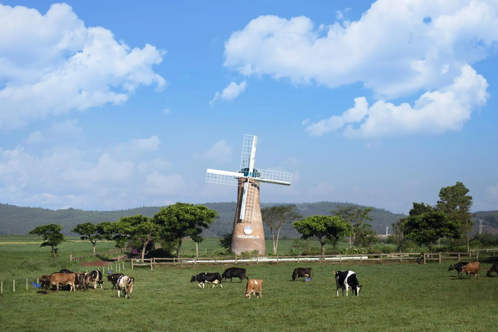 Trải nghiệm tại nông trại đạt chuẩn châu Âu Vinamilk Organic Milk Farm