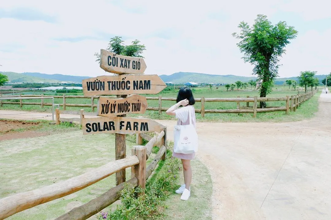 Trải nghiệm tại nông trại đạt chuẩn châu Âu Vinamilk Organic Milk Farm