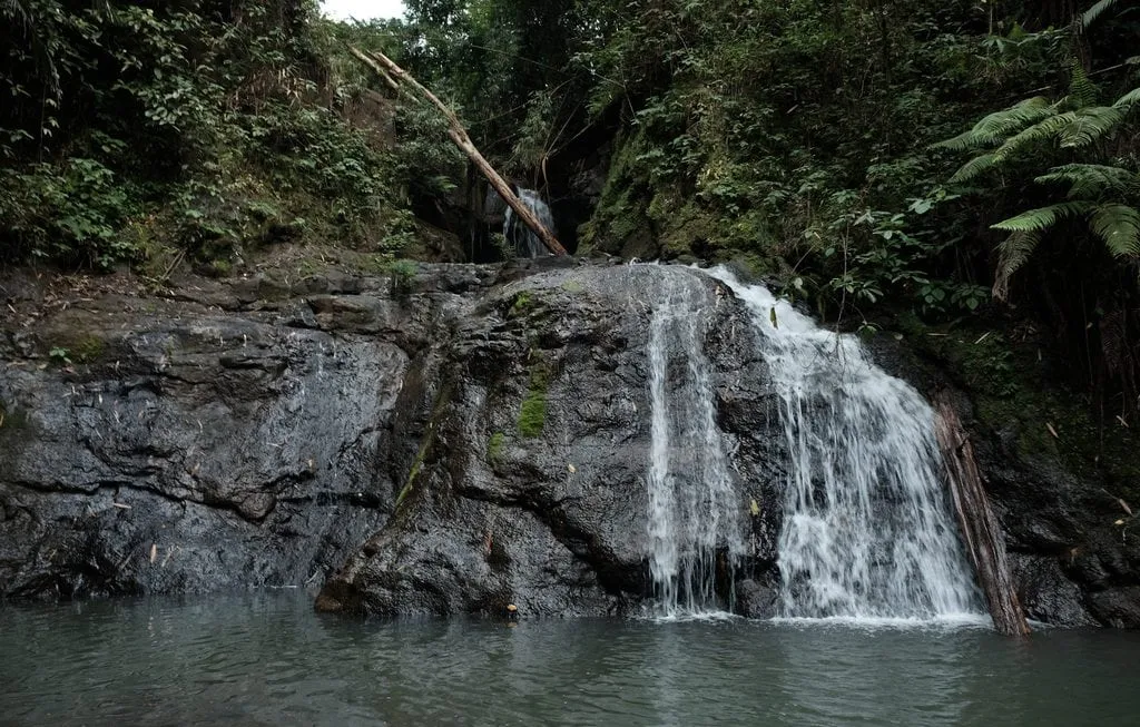 Trải nghiệm Trekking Bù Gia Mập 3N2Đ, lịch trình tự túc dành cho tín đồ du lịch