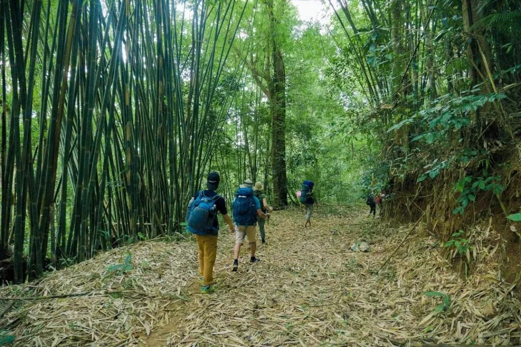 Trải nghiệm Trekking Bù Gia Mập 3N2Đ, lịch trình tự túc dành cho tín đồ du lịch