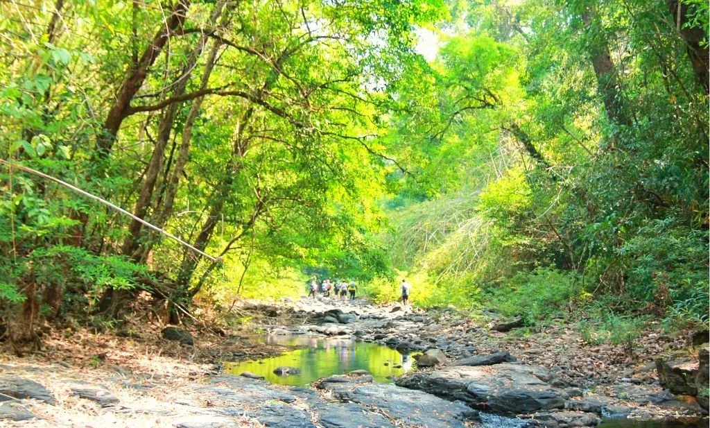 Trải nghiệm Trekking Bù Gia Mập 3N2Đ, lịch trình tự túc dành cho tín đồ du lịch