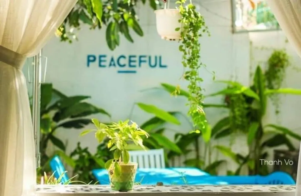 Trạm dừng chân Peaceful House Vung Tau, nơi mang đến cho bạn cảm giác bình yên