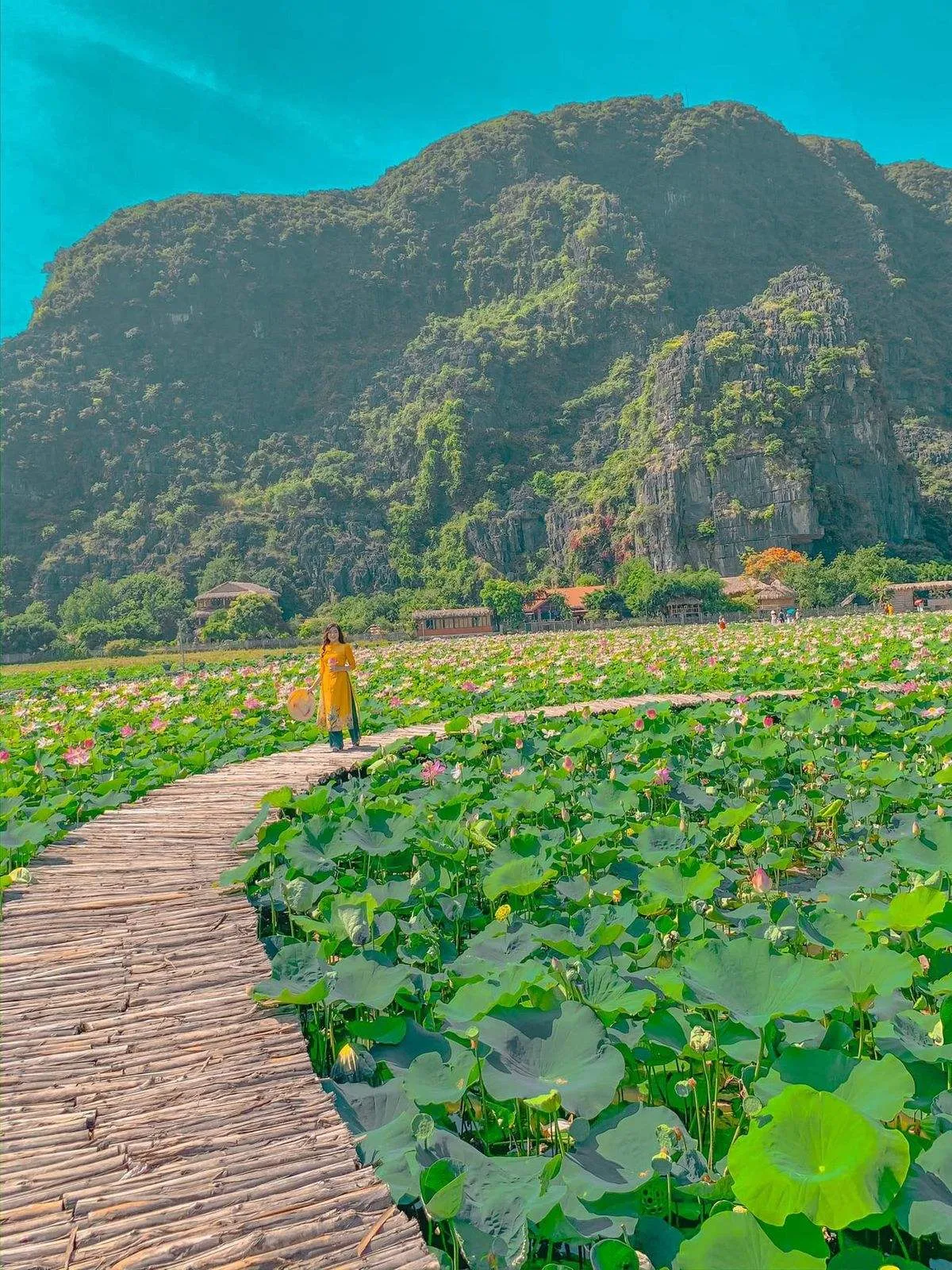 Tràng An một ngày vui chơi, lưu ngay bài viết này