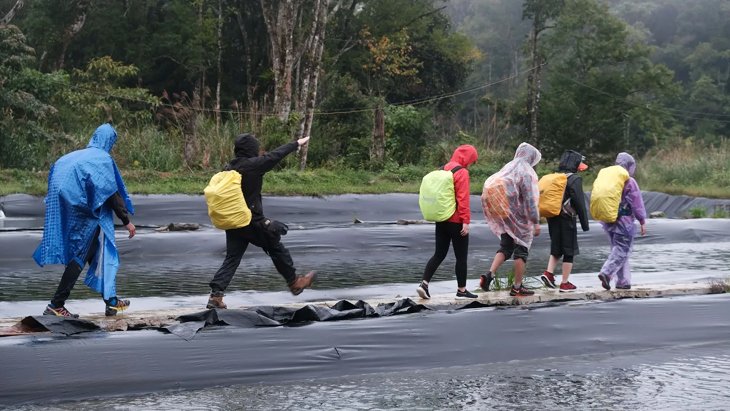 Trekking Bù Gia Mập trải nghiệm thú vị giữa phong cảnh hùng vĩ của thiên nhiên